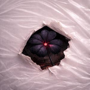 SO LUCKY (feat. Antonio Peñafuerte & José Ámbar)