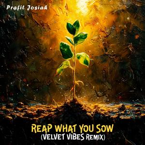 Reap What You Sow (feat. Tuu B., Lea The Princess, Saint Jones & Dave Hall) [Velvet Vibes Remix]