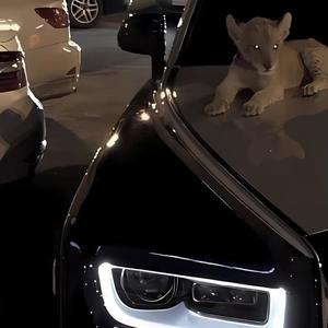 Its Been A Minute (feat. Malisofye) (Explicit)