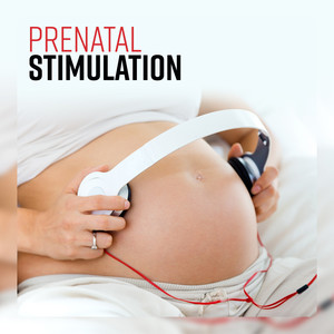 Prenatal Stimulation: Shape Your Unborn Baby, Womb Communication, Early Child Development, Relaxing Pregnancy