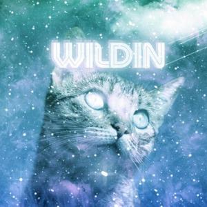 WILDIN (Explicit)