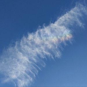 Todo Tiene Su Tiempo