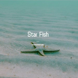 Star Fish