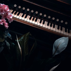 Yesterday (Piano Cover)