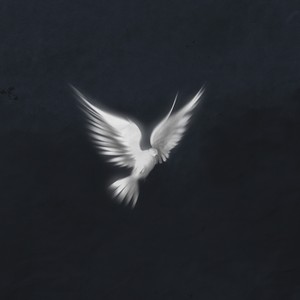 Code Blue (Explicit)