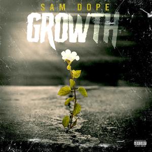 Growth (Explicit)