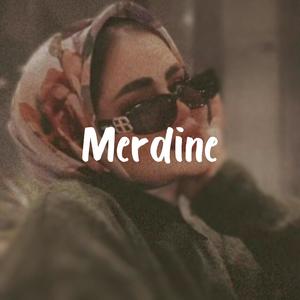 Merdine T-Rap