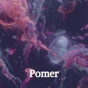 Pomer