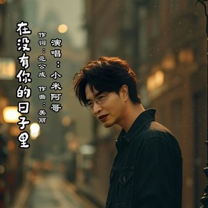 在没有你的日子里