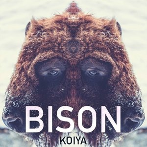 Bison