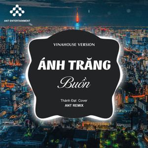 Ánh Trăng Buồn (Vinahouse)