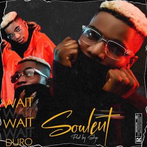Wait (Explicit)