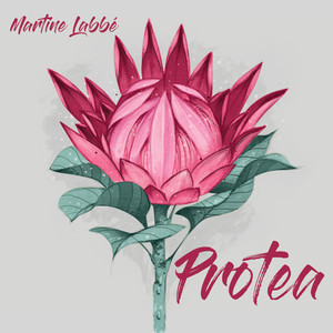 Protea