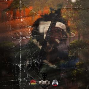 concussion (Explicit)