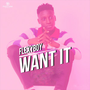 Want It (Explicit)