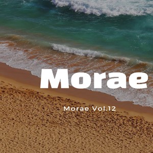 Morae Vol.12