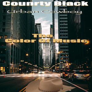 THE COLOR OF MUSIC (Explicit)