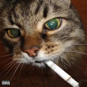 stunttt*freestyle (Explicit)