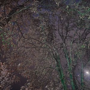 на прощание (поцелую твои губы|Explicit)