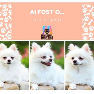 Ai fost o...