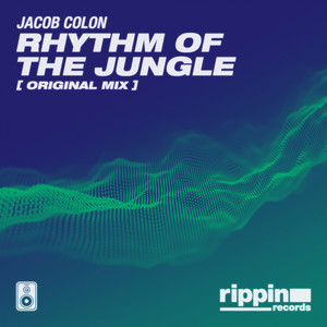 Rhythm of The Jungle