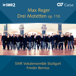 Reger - O Haupt voll Blut und Wunden