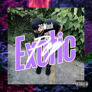 Exotic Pop (Explicit)