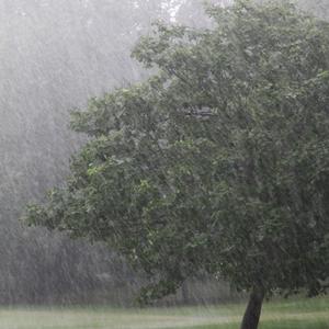 淅沥沥的下雨/放松睡觉/凉爽一夏/自然治愈/解压疗愈/背景音乐/雷声2 (Inst.)