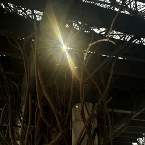 墨菲斯Morpheus (Demo)