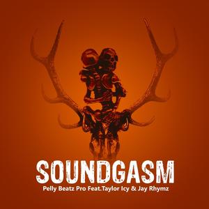 Soundgasm (feat. Taylor Icy) [with Jay Rhymez] [Explicit]