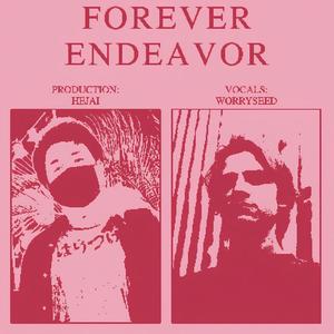 forever endeavor