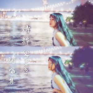 天地为念 - 诗韡Shiwei封面