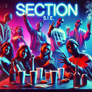 Section (Explicit)