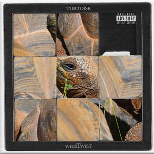 TORTOISE (Explicit)