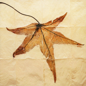 Requiem for Adam - 1. Ascending the Heaven Ladder