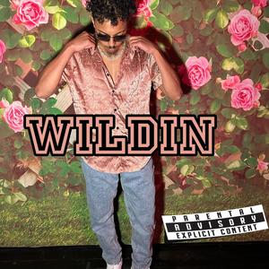 WILDIN (Explicit)