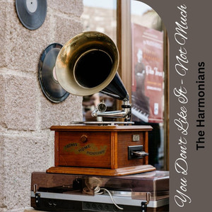 You Don't Like It - Not Much