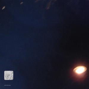 Do You Like What You See?