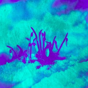 Land Protectors (Explicit)