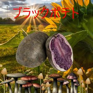 Guap (feat. Lil Gandhi)