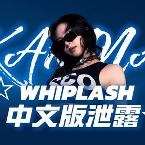 whiplash（中文填词版）