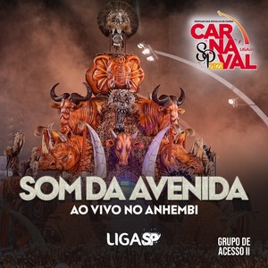 Som da Avenida Ao Vivo no Anhembi, Grupo de Acesso II (Ao Vivo)