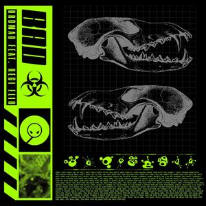 Bad(feat. REGI FLIH)