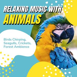 Relaxing Music with Animals: Birds Chirping, Seagulls, Crickets, Forest Ambience