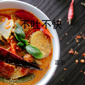 不要在我寂寞的时候说爱我 (DJ版)