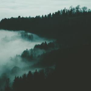 TRVNQUILTY 6.0