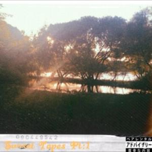 Sunset Tapes Pt:1 (Explicit)