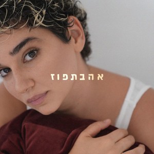 כל החום הזה