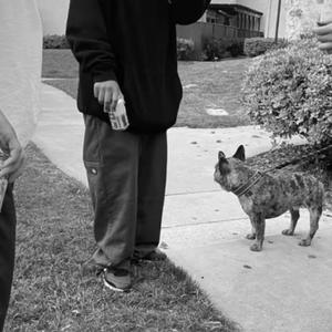 Loaded Weapon (feat. Leo2SlickWithit) (Explicit)