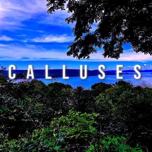 calluses...